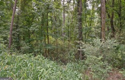 90 Askin Place, Culloden, GA 31016