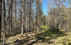 0 Camargo Rd, Nettleton, MS 38858