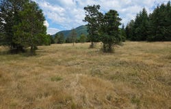 Hwy 58, Lowell, OR 97452