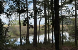 1210 Delapointe Drive, Gautier, MS 39553