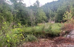 Sawmill Road, Debord, KY 41214