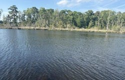 Treasure Pointe Drive, Bath, NC 27808