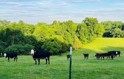 00 Crocus Rd, Glens Fork, KY 42741