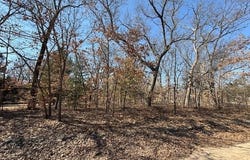 VL S Arrowhead Trail, Baldwin, MI 49304