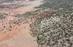 001 N8526, Concho, AZ 85924