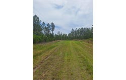 0 UNASSIGNED LOCATION RE, PERRY, FL 32348