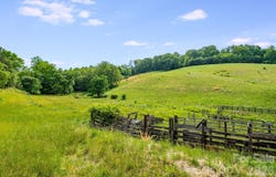 435 Upper Glady Fork Road, Candler, NC 28715