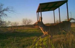 1838 County Road 343, Dublin, TX 76446
