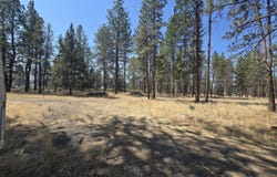 Mina Bird Drive, Bonanza, OR 97623