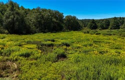 6 County Highway 12, Laurens, NY 13796