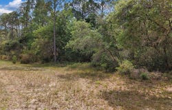 SW 123rd Ct, Cedar Key, FL 32625