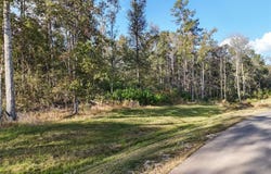 11615 Dawn Tree Lane, Willis, TX 77378