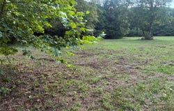 Indian Creek Rd, Bismarck, MO 63624