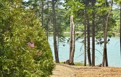 93 Goods Point Road, Steuben, ME 04680