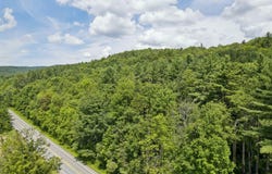 VT Rte 12, Barnard, VT 05031
