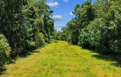 SW 102nd Ct, Cedar Key, FL 32625