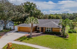 1409 HOLLEMAN, VALRICO, FL 33596