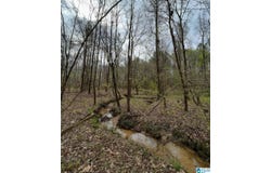 377 MAGNOLIA LANE lot: 1, VANDIVER, AL 35176