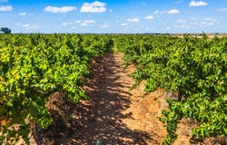 County Rd 218, Seminole, TX 79360