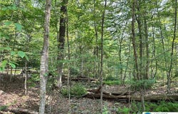 St Moritz Court, Price Twp, PA 18332