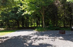 19 Beaverdam Brook Rd, Williamstown, NY 13302