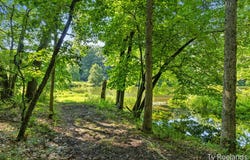 99 Radny Drive SE, Lowell, MI 49331