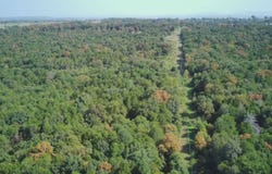 11-8-27 Windsong Way, Ozark, AR 72949