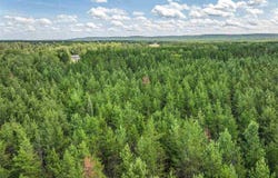 Tract B Hwy 21, Babbitt, MN 55706