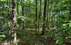1.1 Farr Rd, Ohio, NY 13324