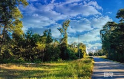 Nathan Jordan Road, Millry, AL 36558
