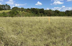 County Road 4489, Tenaha, TX 75974