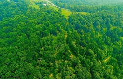 Bices Run Road, Enterprise, WV 26568