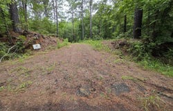 1360 County Road 403, San Augustine, TX 75972