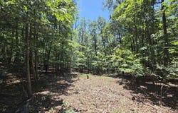 734 COLD SPRINGS DR, SHENANDOAH, VA 22849