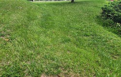 Dogwood Road, Lehigh Twp, PA 18088