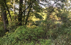 S Us Hwy 23, Wise, VA 24293