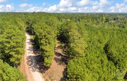 McCannon Road, Carlton, GA 30627