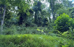 Dairy Road, Poca, WV 25159