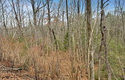 78 Hopper Road, Milton, NH 03851
