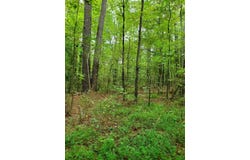 Jones Bend Rd., PARIS, TN 38242