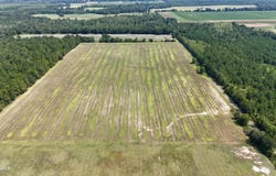Peanut Road, Cottondale, FL 32431