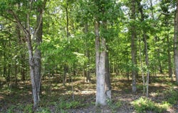 0 Amethyst Lane, Amherst, VA 24521