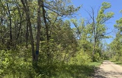 Parcel B W USFS 5196, Baldwin, MI 49304