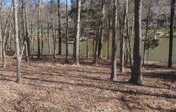 1061 Refuge Place, Chapin, SC 29036
