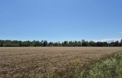 160 Acres Halverson Road, Gulliver, MI 49840