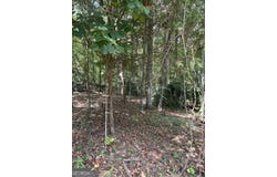 Barouche Drive, Thomaston, GA 30286
