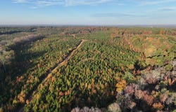 Mabelvale, AR 72103