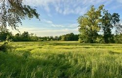 00001 County Road 204, Tiplersville, MS 38674