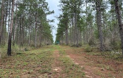 FM 1005, Jasper, TX 75951