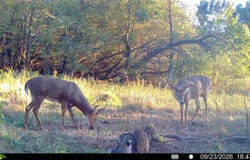12772 SW Marshall Rd, Colony, KS 66015